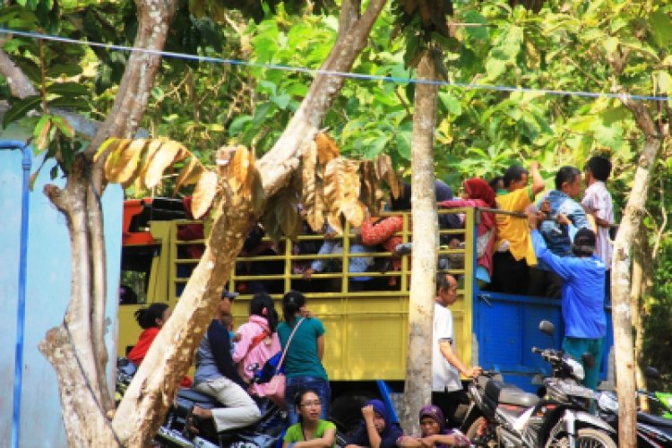 SSSGC YOGYAKARTA: PENYALURAN 5 TON BERAS DI PURWOSARI GUNUNG KIDUL