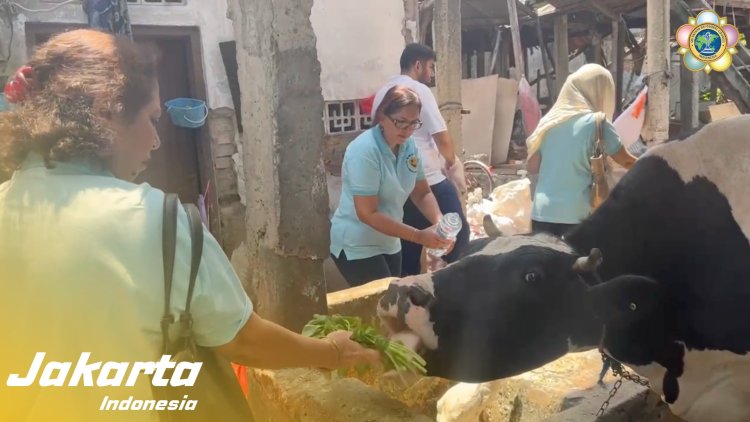 SSSGC Jakarta : Wing SMILE SSSGC Jakarta Melaksanakan Narayana Seva Pelepasan 1.000 Burung dan Pemberian Makan Sapi Sebagai Bentuk Tindakan Welas Asih Kepada Seluruh Makhluk Hiduo