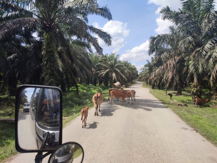 SSSGC Indonesia : Laksanakan Seva dan Trauma Healing di Desa Terpencil Aceh Tamiang Korban Banjir Sumatera